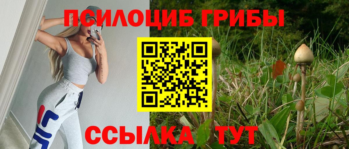 купить закладку  Псилоцибиновые грибы Magic Shrooms  Вход с VPN  Апрелевка  Галлюциногенные грибы GOLDEN TEACHER 
